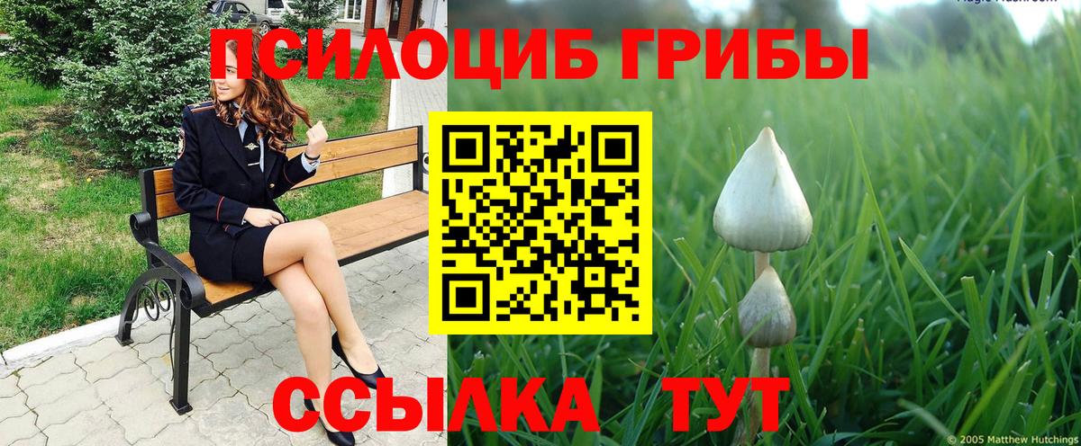 Выкса  Псилоцибиновые грибы мухоморы  Галлюциногенные грибы прущие грибы  Вход с VPN 