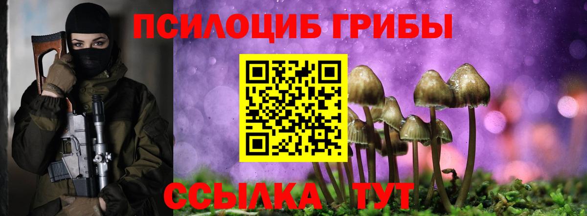 МЕФ Выкса
